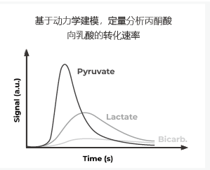 超极化磁共振成像示踪剂