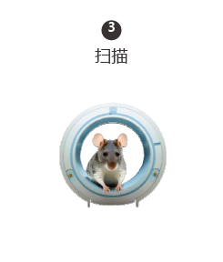 超极化磁共振成像示踪剂