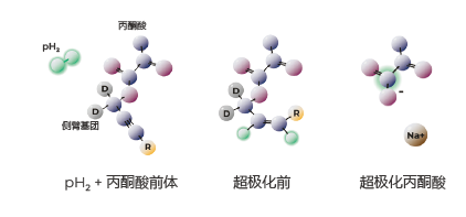 超极化磁共振成像示踪剂
